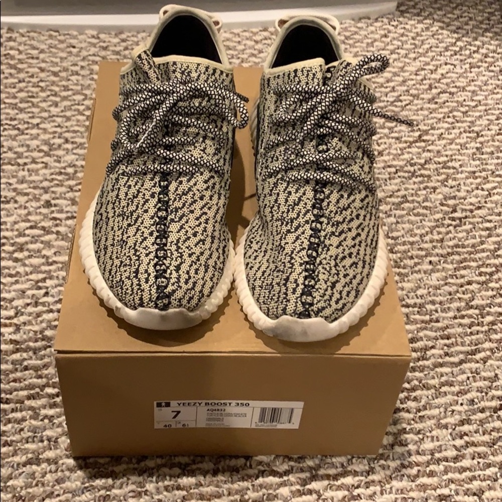 Amazing FAKE turtle dove Yeezy